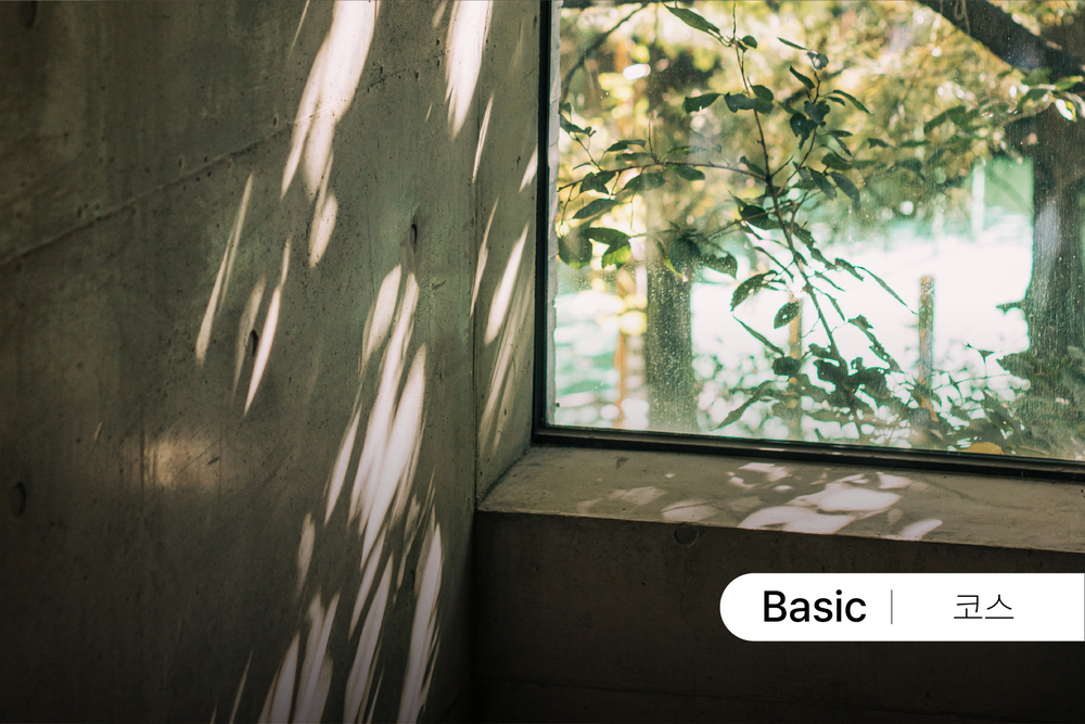 사진의 기초, 노출부터 구도까지 [4월] 이미지