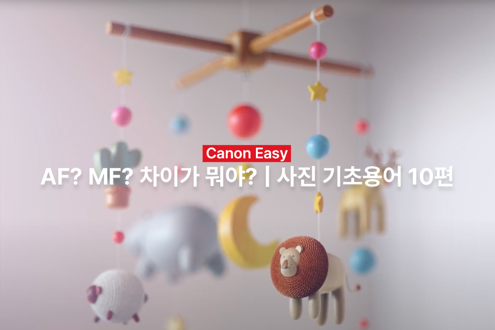 [캐논Easy] AF? MF? 차이가 뭐야? | 사진 기초용어 10편