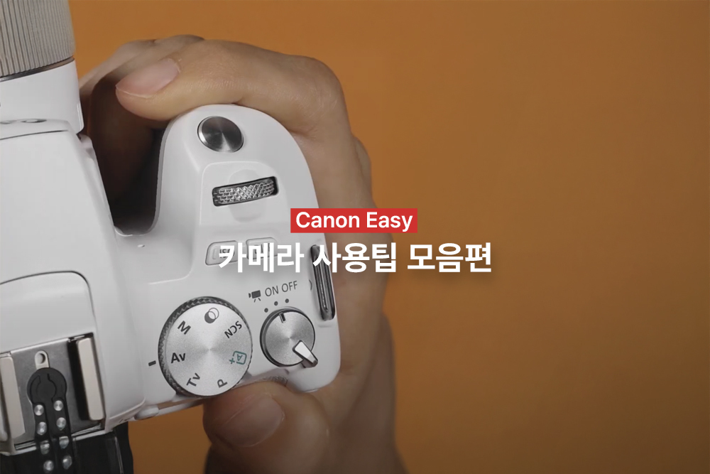 [캐논Easy] 카메라 사용팁 모음편