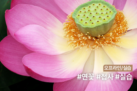 과정 이미지