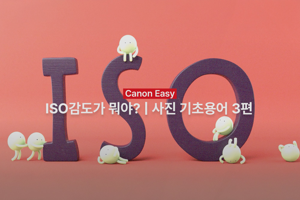[캐논Easy] ISO감도가 뭐야? | 사진 기초용어 3편
