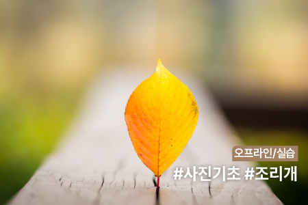 과정 이미지