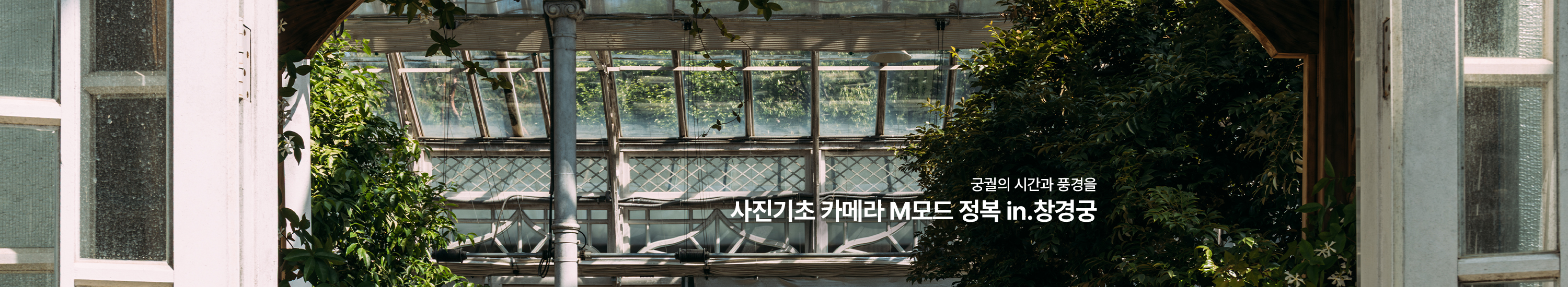 사진기초 카메라 M모드 정복 in.창경궁