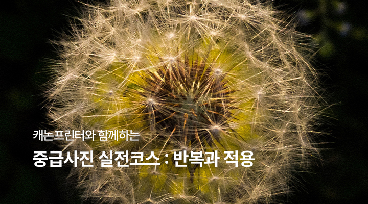 중급사진 실전코스 : 반복과 적용