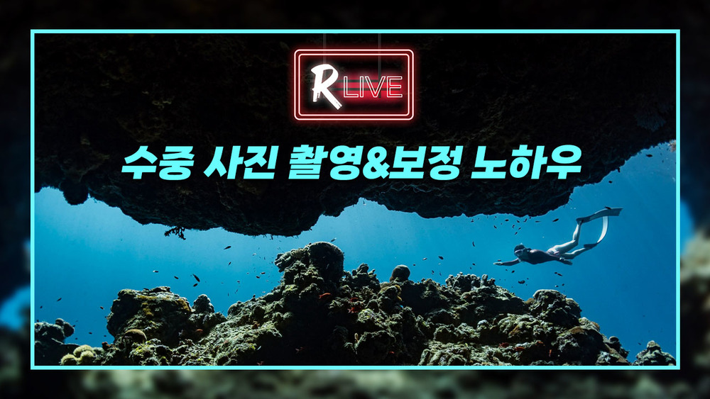 [R Live] 수중 사진 촬영&보정 노하우