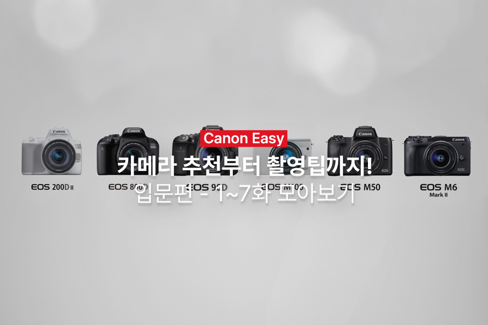 [캐논Easy] 카메라 추천부터 촬영팁까지! | 입문편 - 1~7화 모아보기