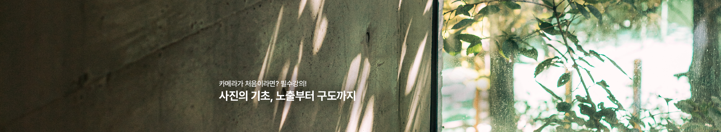 사진의 기초, 노출부터 구도까지