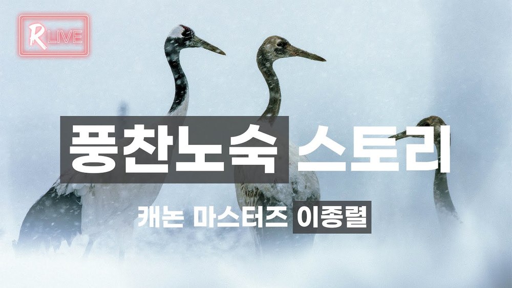 과정 이미지