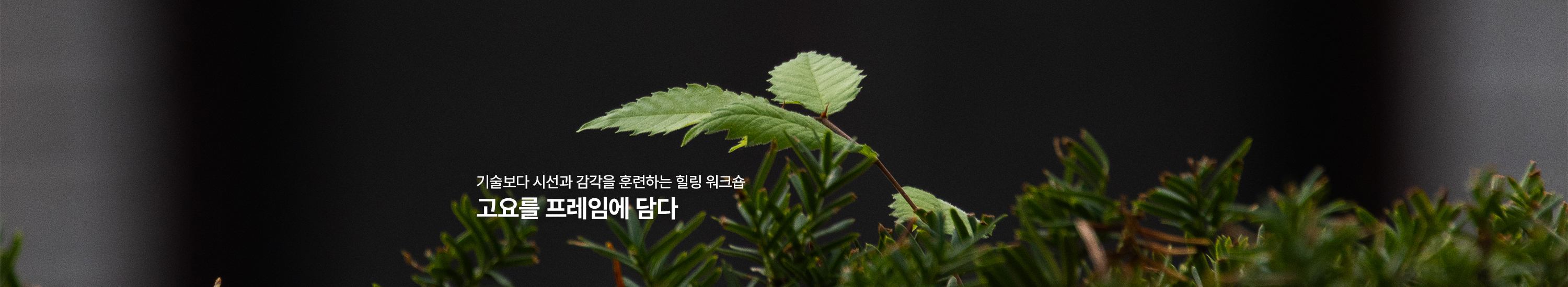 고요를 프레임에 담다