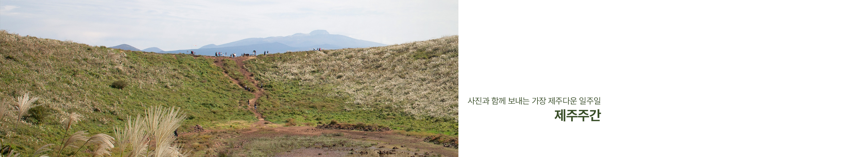 제주주간