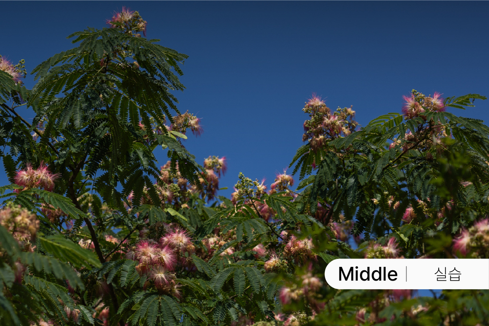 풍경을 담는 시선과 세팅 - 망원 [4월] 이미지