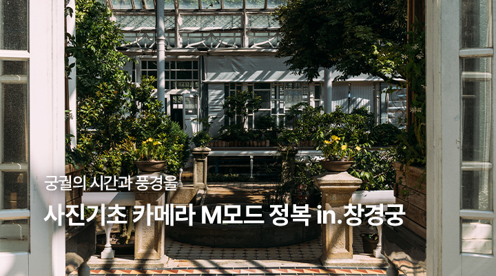 사진기초 카메라 M모드 정복 in.창경궁