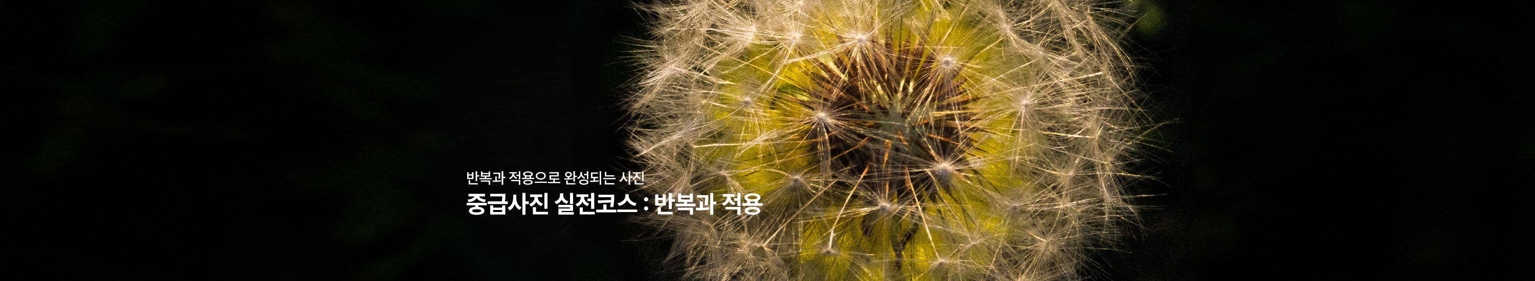 중급사진 실전코스 : 반복과 적용