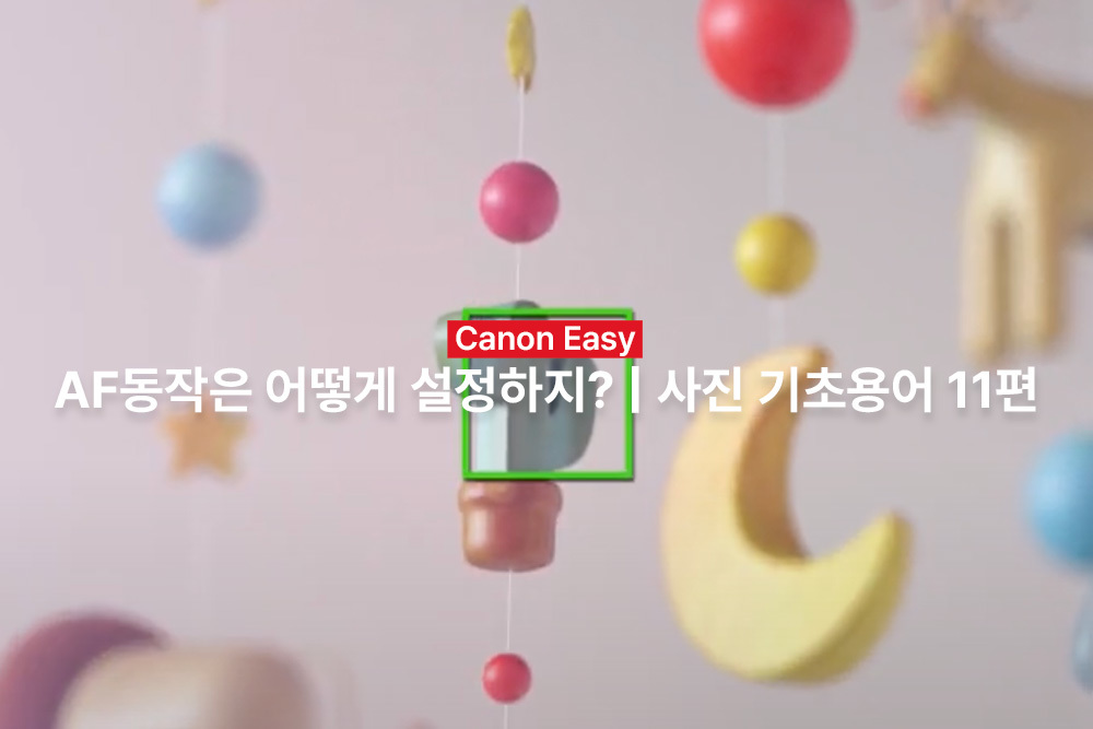 [캐논Easy] AF동작은 어떻게 설정하지? | 사진 기초용어 11편