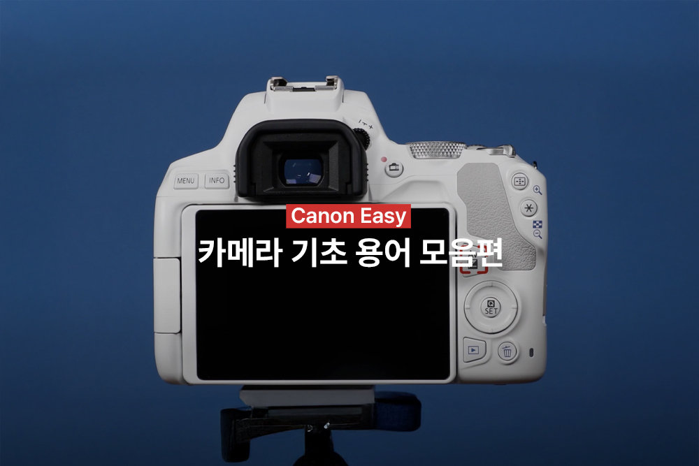 [캐논Easy] 카메라 기초 용어 모음편