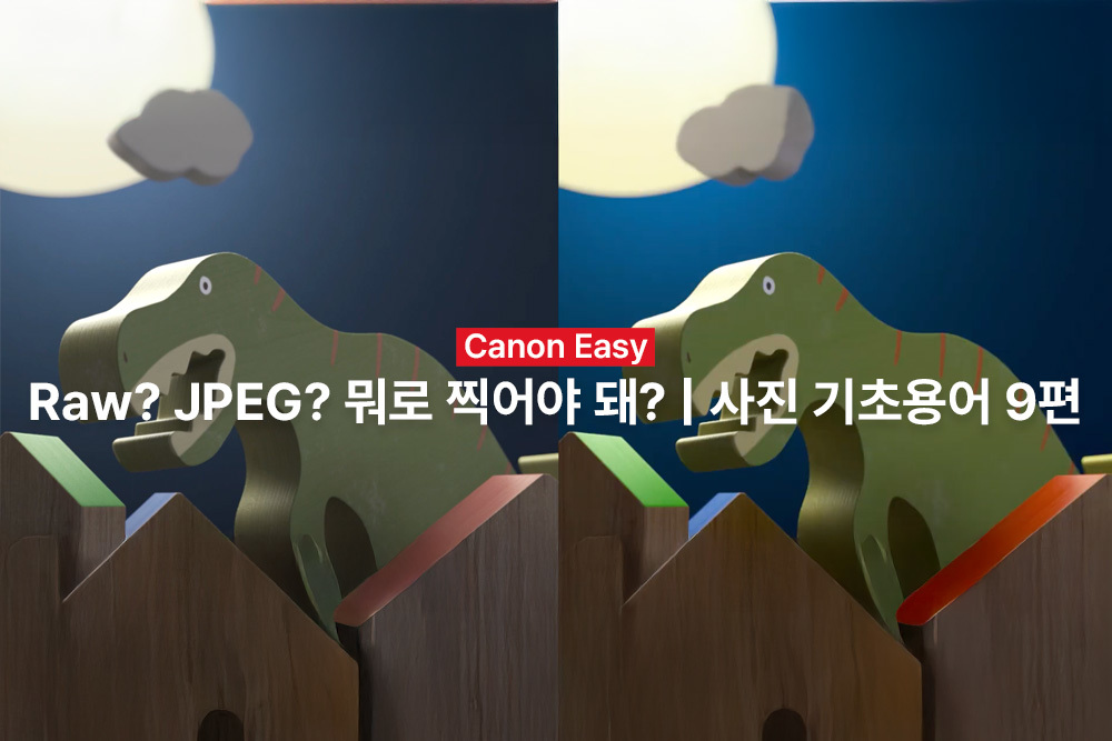 [캐논Easy] Raw? JPEG? 뭐로 찍어야 돼? | 사진 기초용어 9편