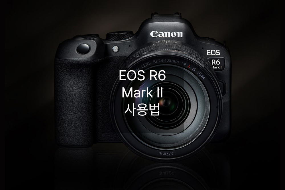 EOS R6 Mark II 사용법