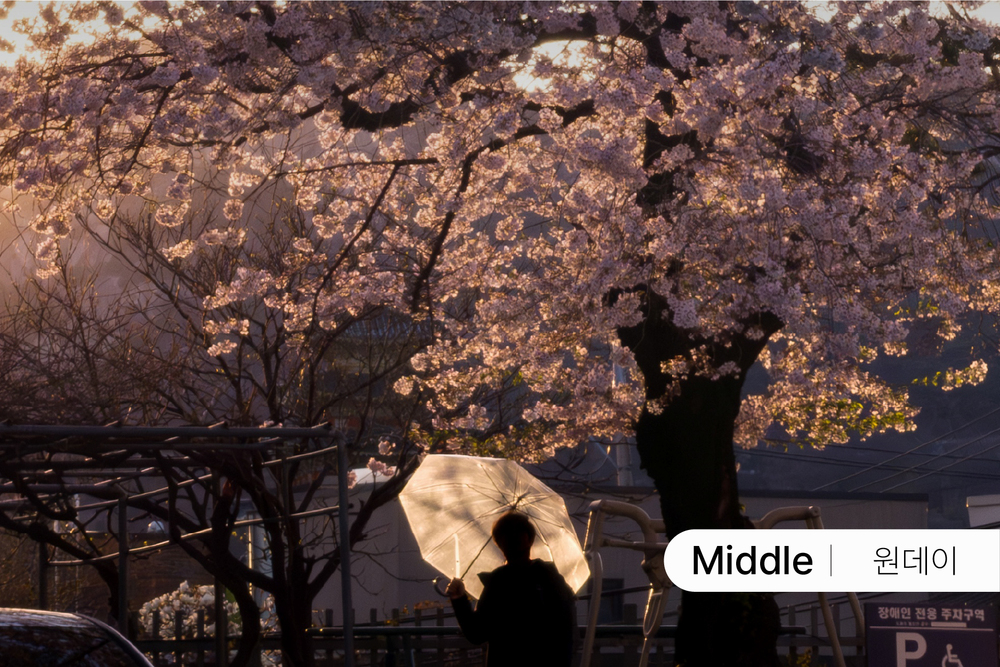 빛으로 완성하는 일상 [5월] 이미지