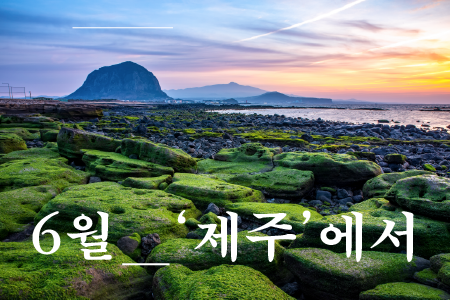 과정 이미지