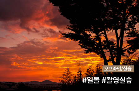 과정 이미지