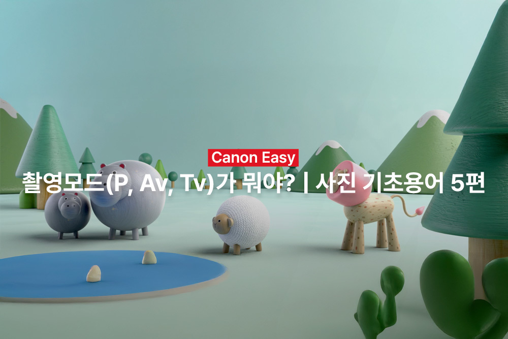 [캐논Easy] 촬영모드(P, Av, Tv)가 뭐야? | 사진 기초용어 5편