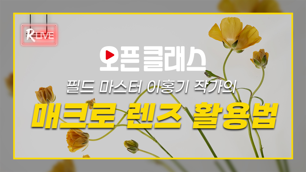[오픈 클래스 다시보기] 필드 마스터 이홍기 작가의 매크로 렌즈 활용법
