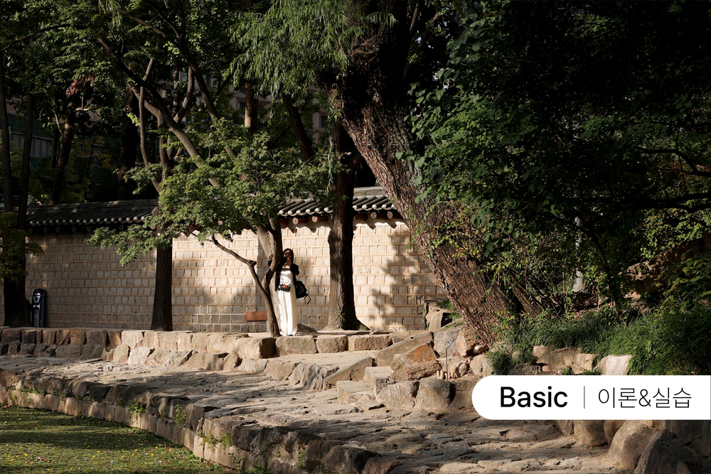 사진기초 카메라 M모드 정복 in.덕수궁 [5월]