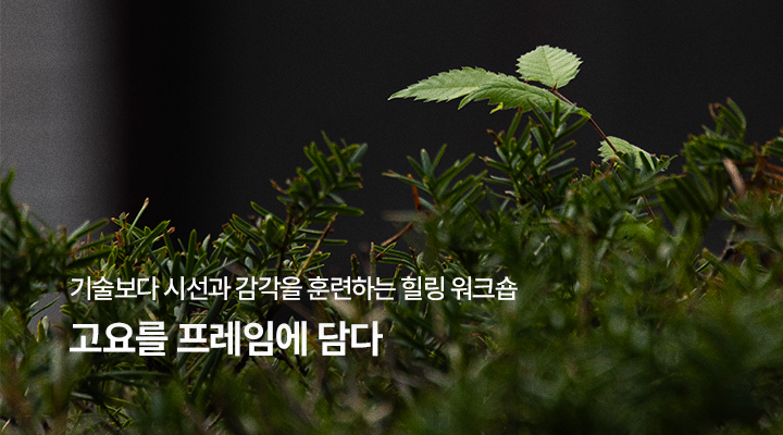 고요를프레임에담다