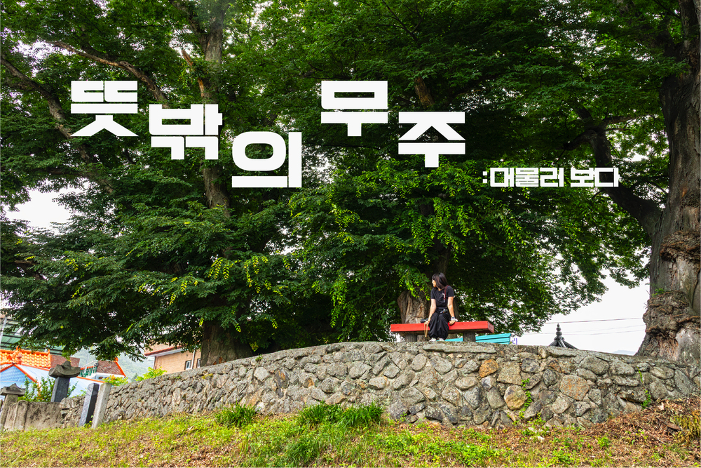 뜻밖의 무주: 머물러, 보다 [9월] 이미지
