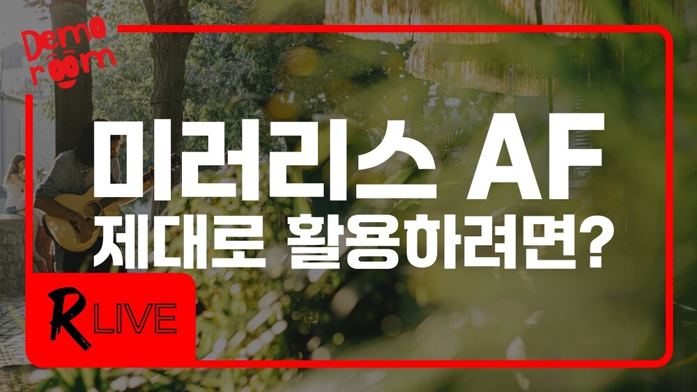 [R Live] 가장 첨단의 AF 기능! 제대로 활용하려면? (AF 기능 완전 정복 2026 ver.)
