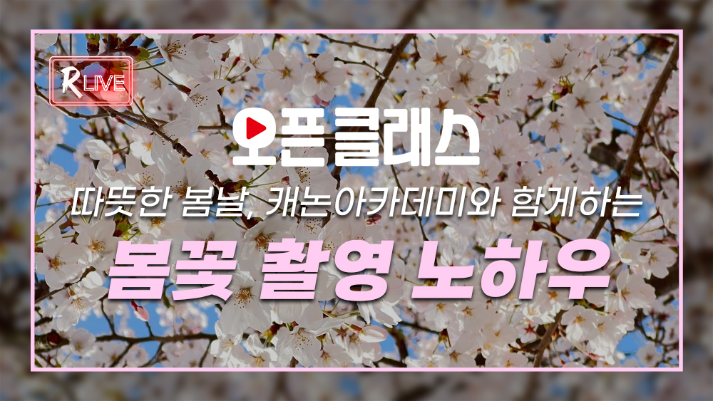[오픈 클래스 다시보기] 따뜻한 봄날, 캐논아카데미와 함께하는 봄꽃 촬영 노하우