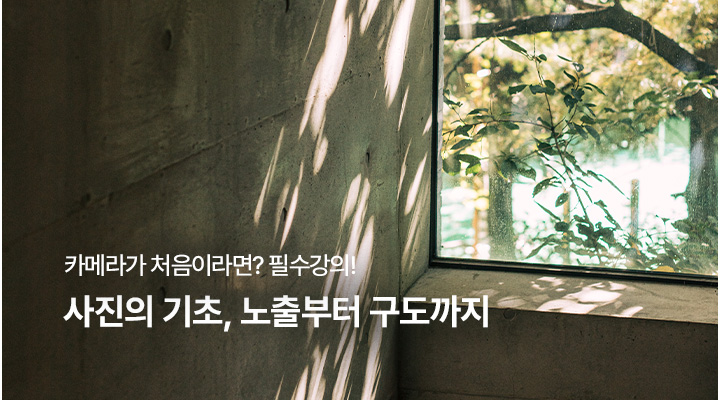사진의 기초, 노출부터 구도까지