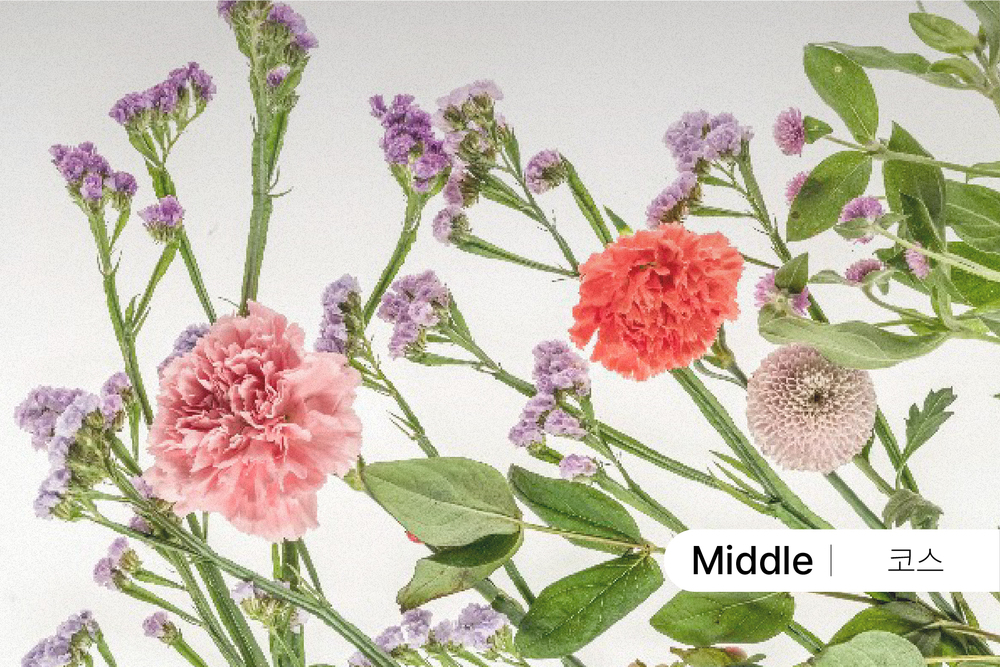 외장플래시를 활용한 꽃 사진 촬영 클래스 [1월]