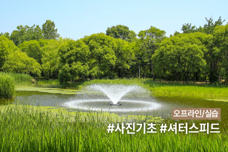 과정 이미지