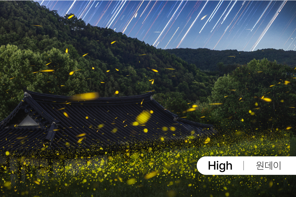 반딧불을 따라 걷는 밤 [5월] 이미지