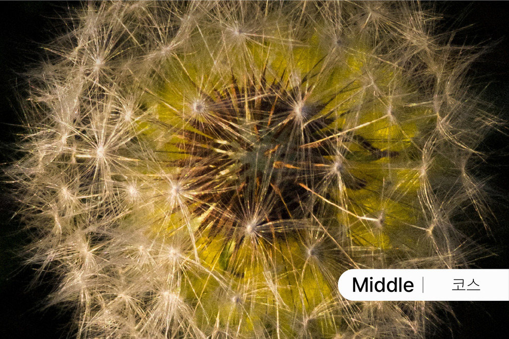 중급사진 실전코스 : 반복과 적용 [5월] 이미지