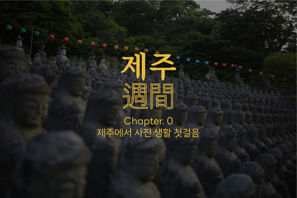 제주주간: 제주에서 사진 첫걸음 [6월]