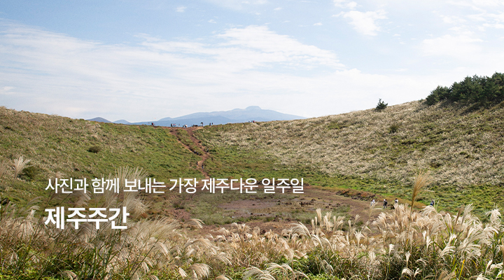 제주주간