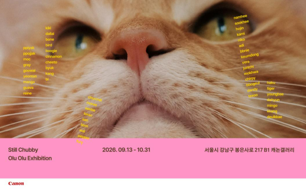 <Still Chubby> 반려동물 촬영 프로그램 9/20 13:00